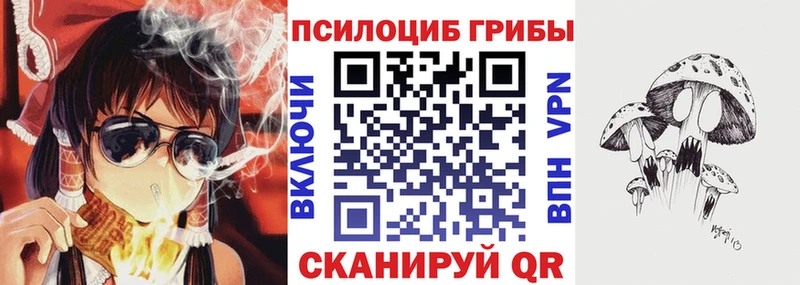 Псилоцибиновые грибы Psilocybine cubensis  как найти наркотики  Светлый 